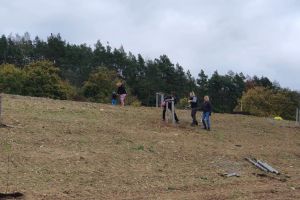 Pilotní agrolesní výsadby na jižní Moravě začaly