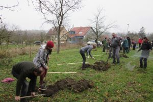 Výsadba zeleně v obci Louka (ATCZ142-klimatická zeleň)