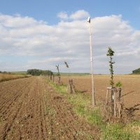 Moravský Písek Měřidlo PA026888 1